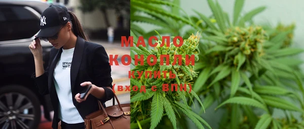 мдпв Бикин