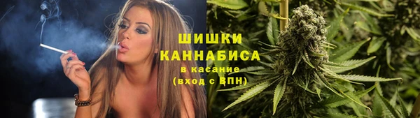 дживик Билибино