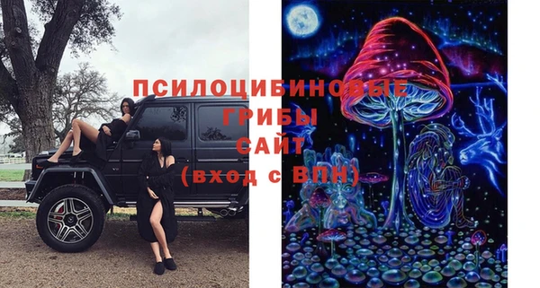 дживик Билибино