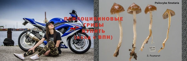 мдпв Бикин