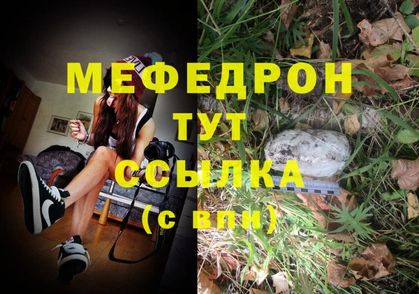 мдпв Бикин