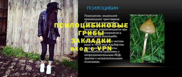 меф VHQ Дмитриев