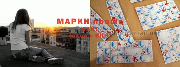 мдпв Бикин