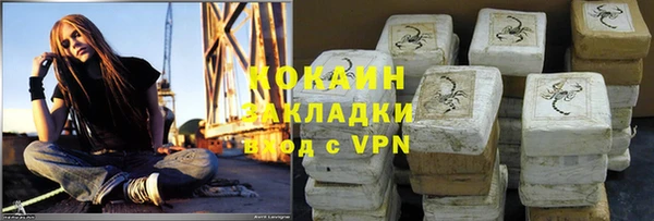 дживик Билибино