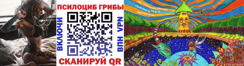 Псилоцибиновые грибы Psilocybine cubensis  Балей 